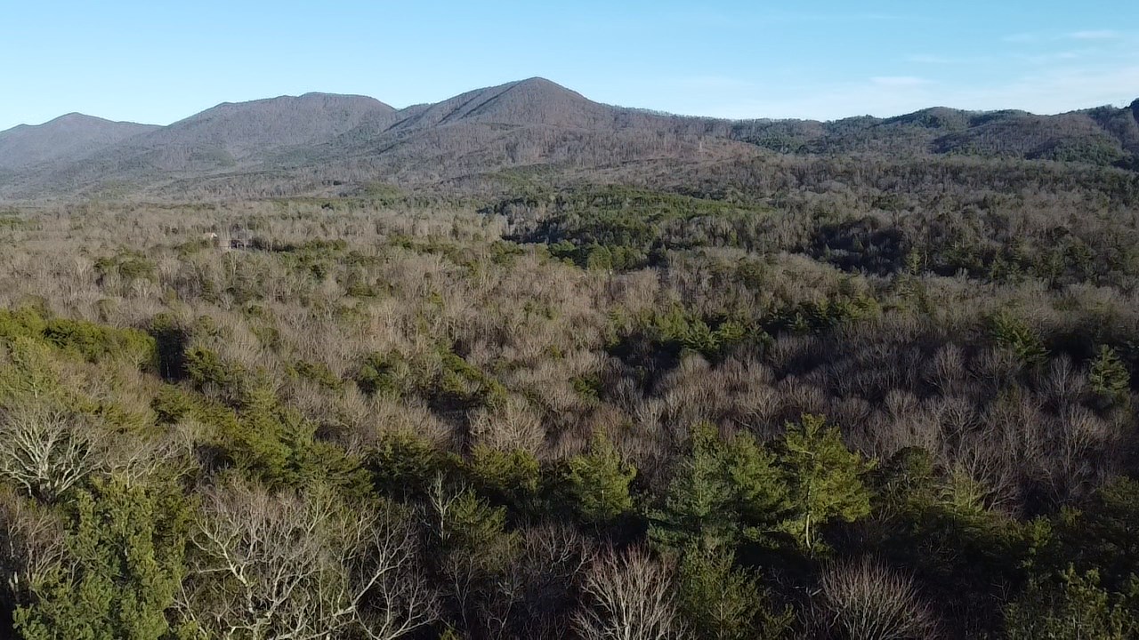 Cooper Hollow Rd