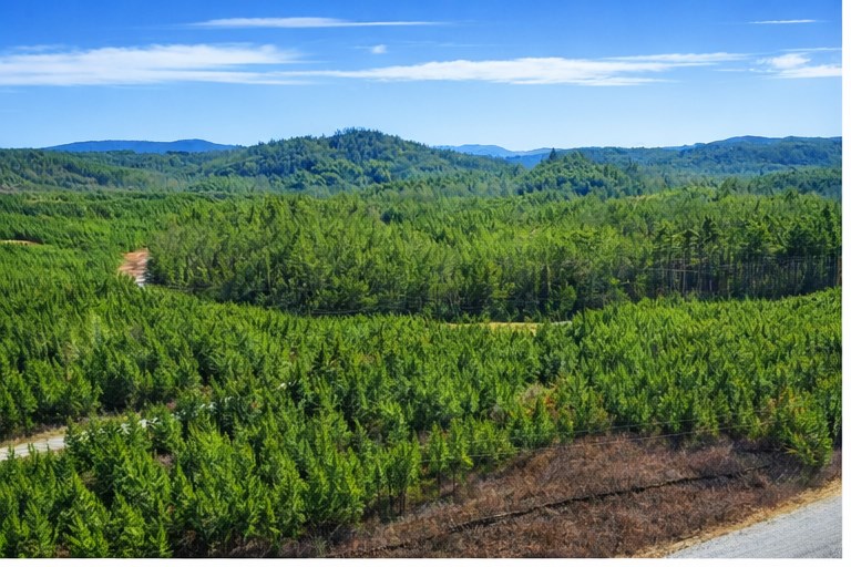 Lot 86 Ridgeline Dr
