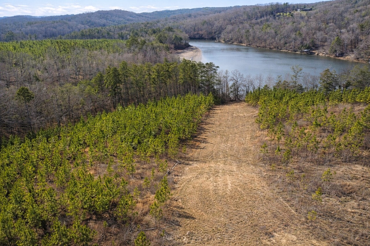 Saddleback Dr